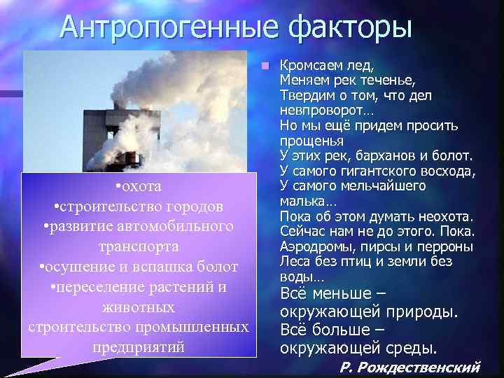 Антропогенные факторы n • охота • строительство городов • развитие автомобильного транспорта • осушение