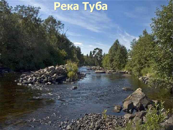 Река Туба 