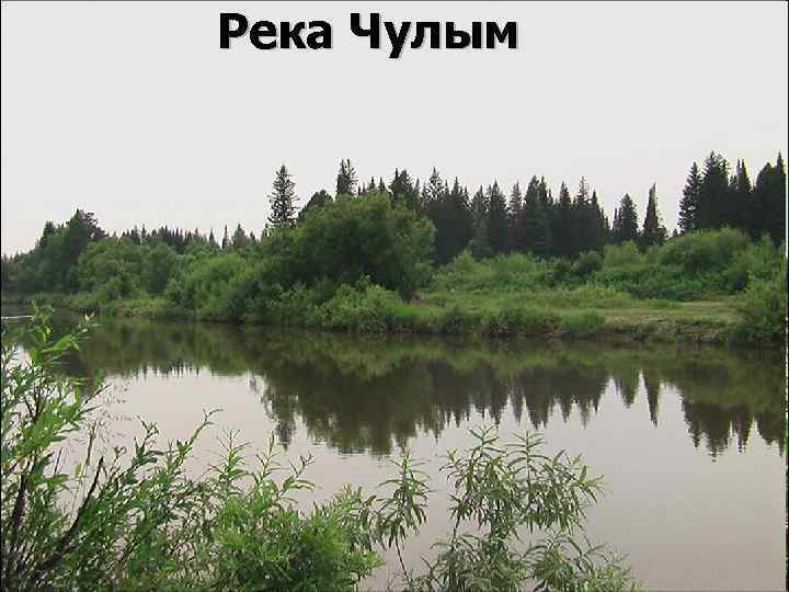 Река Чулым 