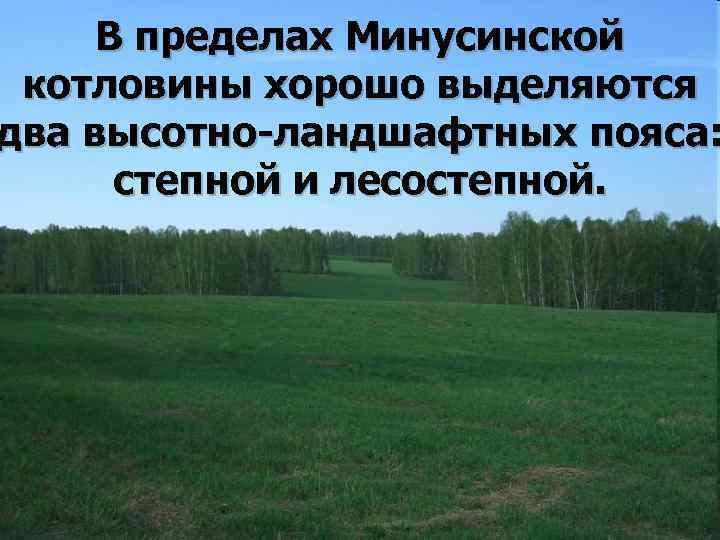 В пределах Минусинской котловины хорошо выделяются два высотно-ландшафтных пояса: степной и лесостепной. 