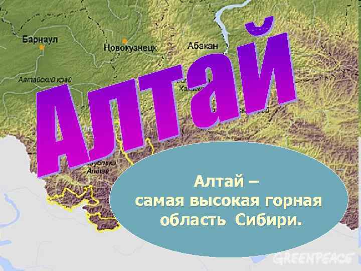 Алтай – самая высокая горная область Сибири. 
