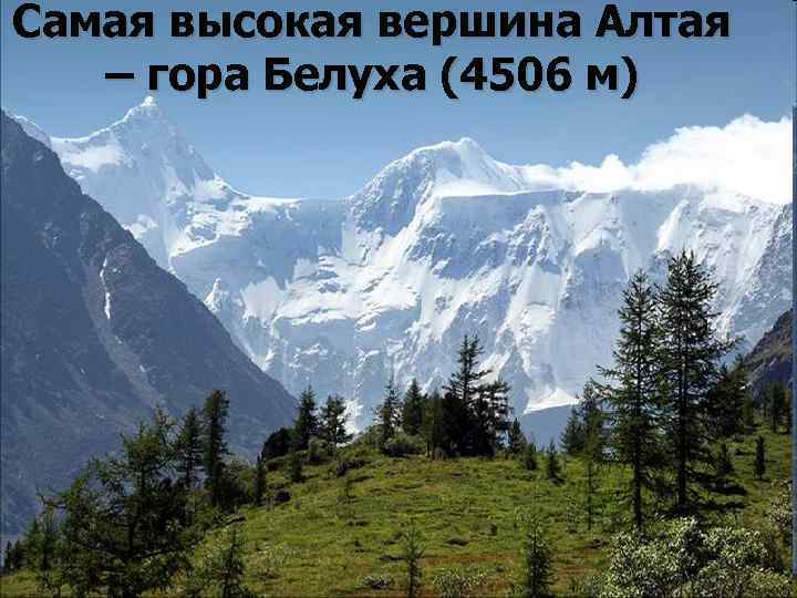 Самая высокая вершина Алтая – гора Белуха (4506 м) 