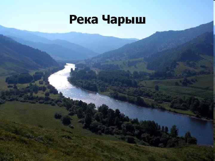 Река Чарыш 