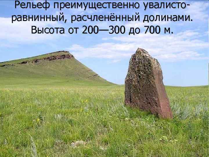 Рельеф преимущественно увалисторавнинный, расчленённый долинами. Высота от 200— 300 до 700 м. 