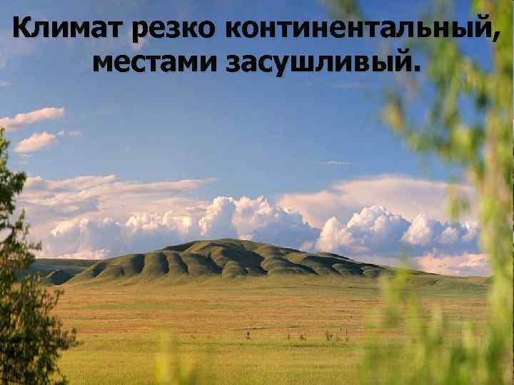 Климат резко континентальный, местами засушливый. 