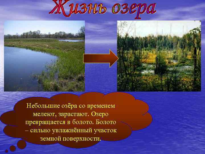 Небольшие озёра со временем мелеют, зарастают. Озеро превращается в болото. Болото – сильно увлажнённый