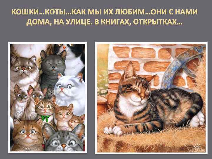 КОШКИ…КОТЫ…КАК МЫ ИХ ЛЮБИМ…ОНИ С НАМИ ДОМА, НА УЛИЦЕ. В КНИГАХ, ОТКРЫТКАХ… 