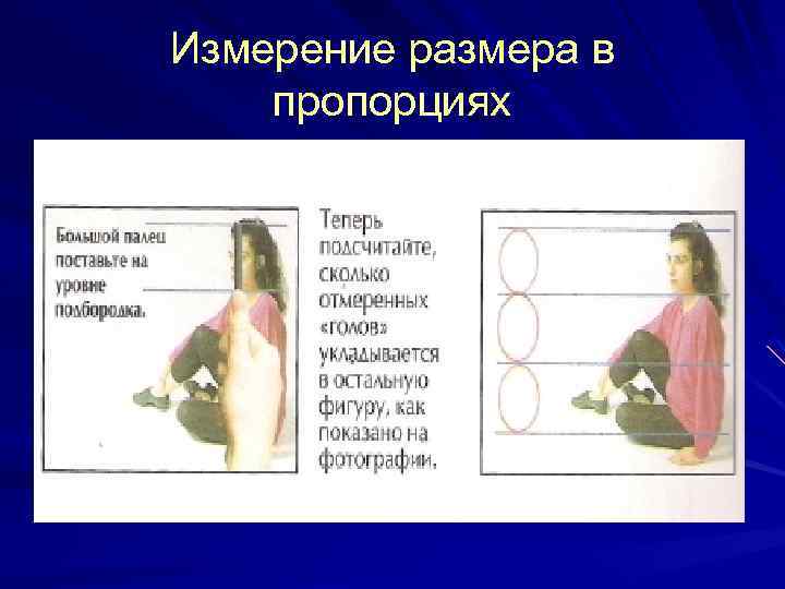 Измерение размера в пропорциях 