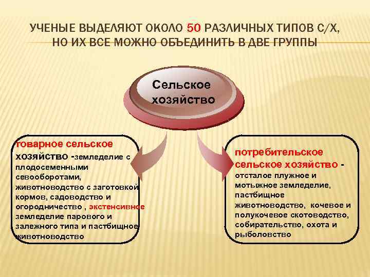 УЧЕНЫЕ ВЫДЕЛЯЮТ ОКОЛО 50 РАЗЛИЧНЫХ ТИПОВ С/Х, НО ИХ ВСЕ МОЖНО ОБЪЕДИНИТЬ В ДВЕ
