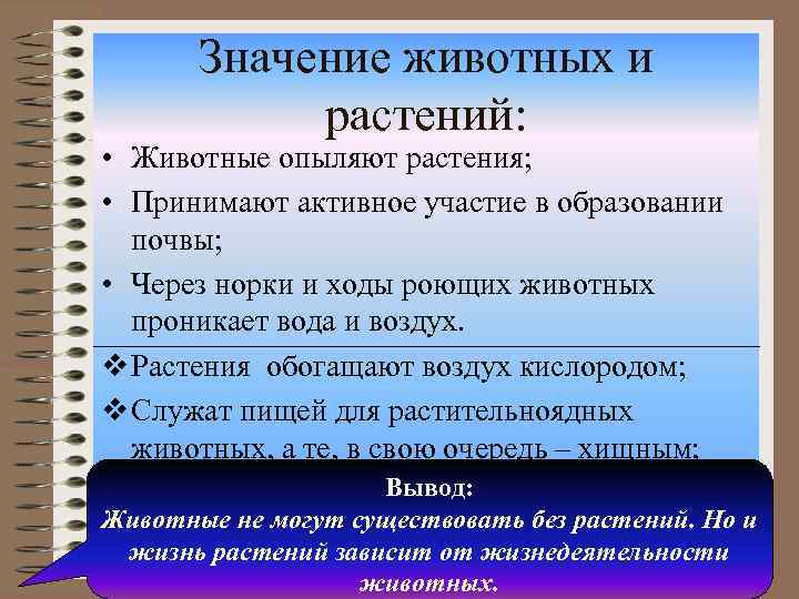 Значение животных и растений: • Животные опыляют растения; • Принимают активное участие в образовании