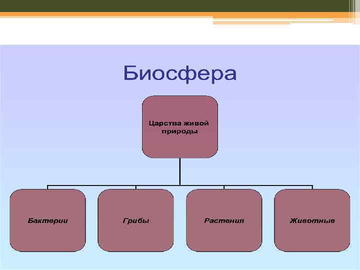 Биосфера урок в 6 классе