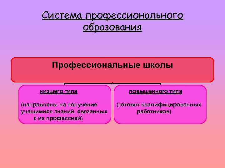 Система профессионального образования Профессиональные школы низшего типа (направлены на получение учащимися знаний, связанных с
