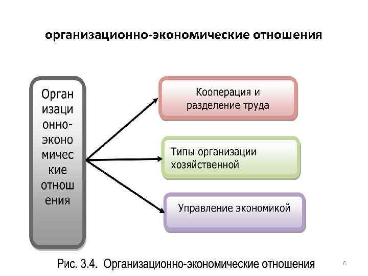 организационно-экономические отношения 6 