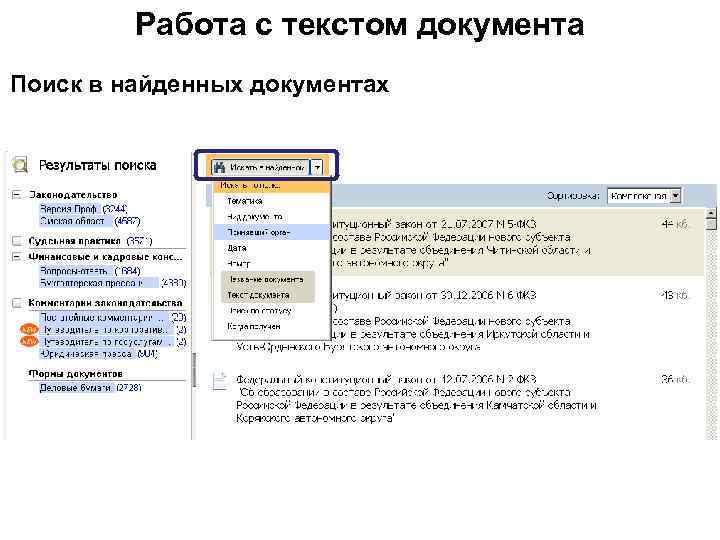 Работа с текстом документа Поиск в найденных документах 