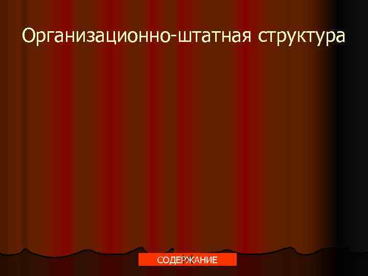 Организационно-штатная структура СОДЕРЖАНИЕ 