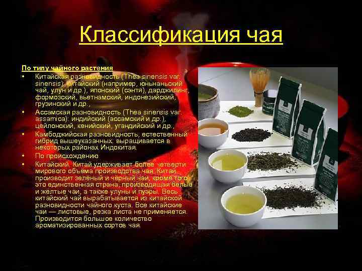 Классификация чая По типу чайного растения • Китайская разновидность (Thea sinensis var. sinensis): китайский