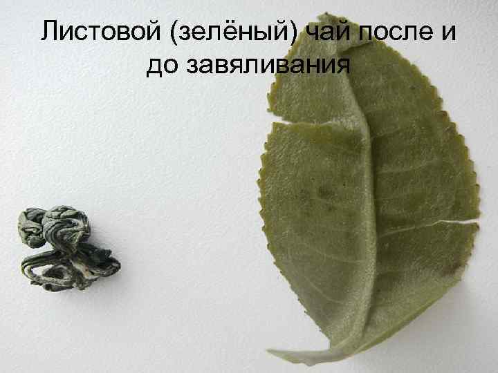Листовой (зелёный) чай после и до завяливания 