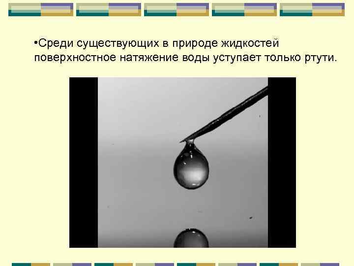  • Среди существующих в природе жидкостей поверхностное натяжение воды уступает только ртути. 