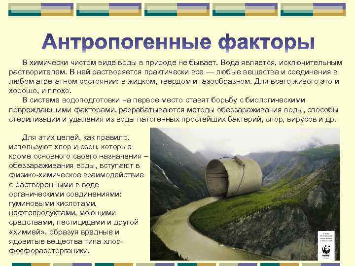  В химически чистом виде воды в природе не бывает. Вода является, исключительным растворителем.
