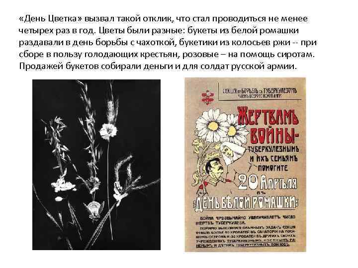  «День Цветка» вызвал такой отклик, что стал проводиться не менее четырех раз в