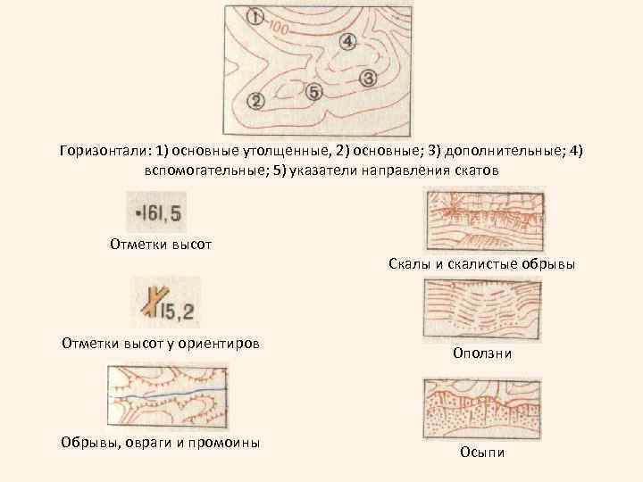 Горизонтали: 1) основные утолщенные, 2) основные; 3) дополнительные; 4) вспомогательные; 5) указатели направления скатов