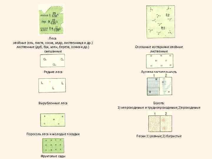 Леса: хвойные (ель, пихта, сосна, кедр, лиственница и др. ) лиственные (дуб, бук, клен,