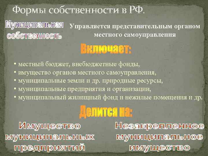 Формы собственности в РФ. Управляется представительным органом местного самоуправления • местный бюджет, внебюджетные фонды,