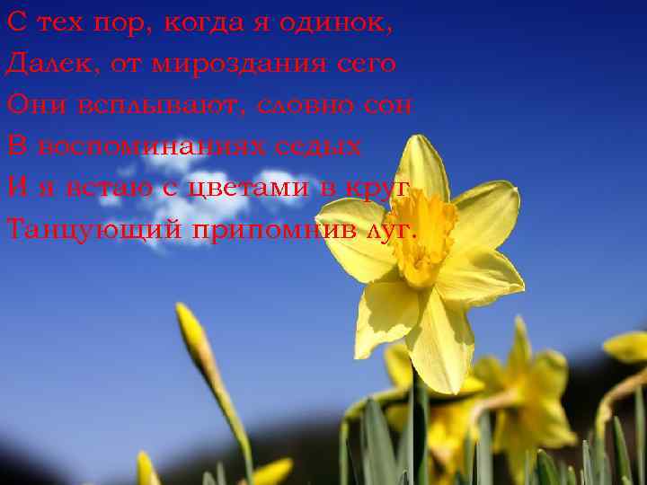 С тех пор, когда я одинок, Далек, от мироздания сего Они всплывают, словно сон