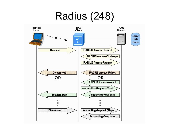 Radius (248) 