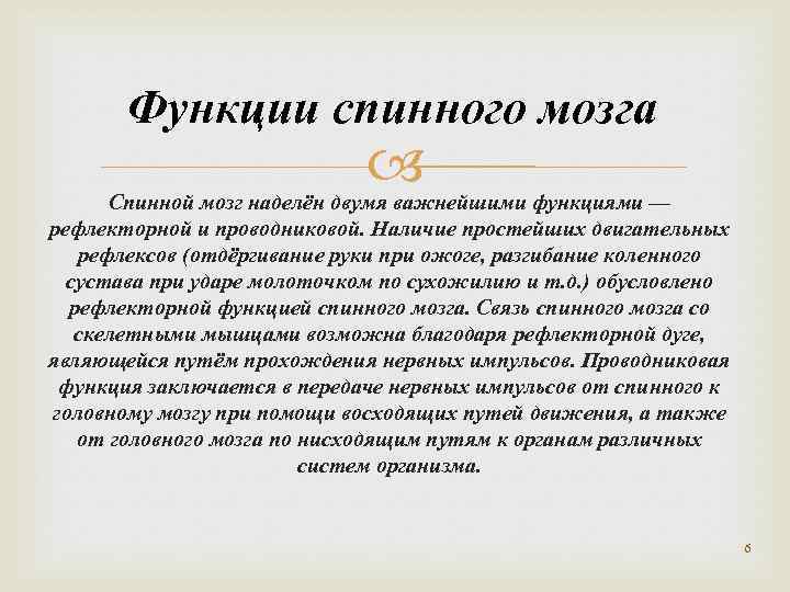 Функции спинного мозга Спинной мозг наделён двумя важнейшими функциями — рефлекторной и проводниковой. Наличие