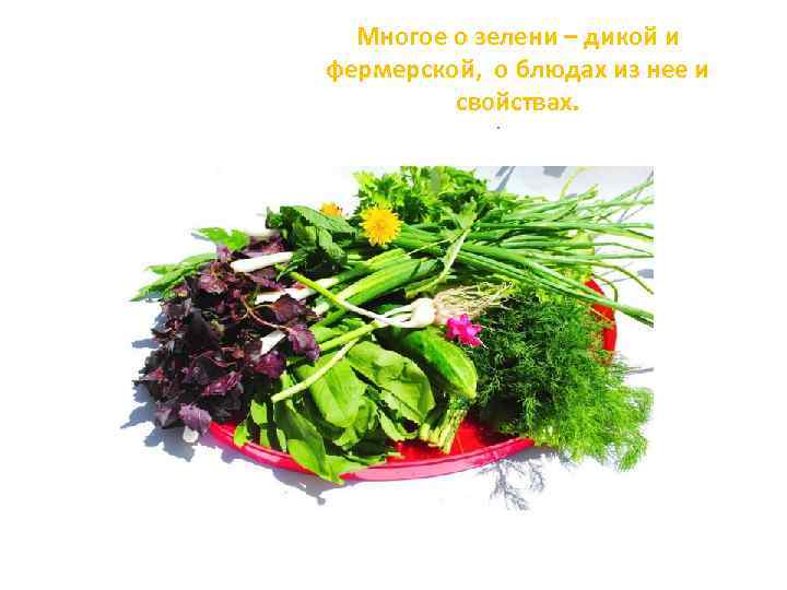 Многое о зелени – дикой и фермерской, о блюдах из нее и свойствах. .