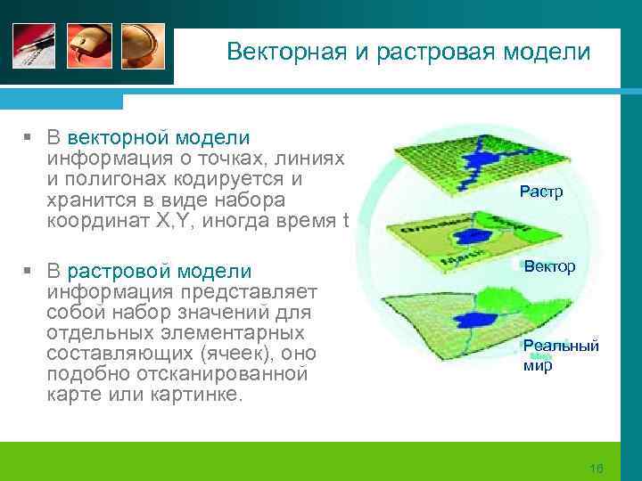 Векторная и растровая модели § В векторной модели информация о точках, линиях и полигонах