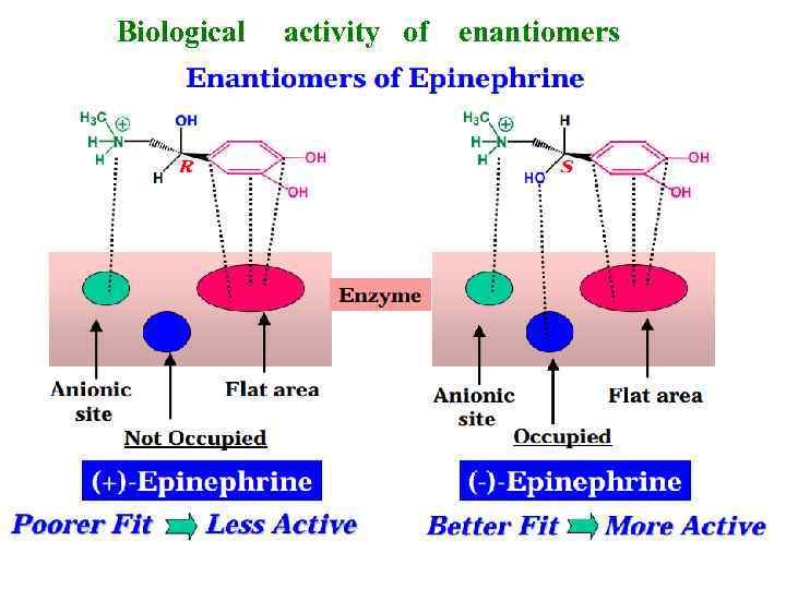 Biological activity of enantiomers 