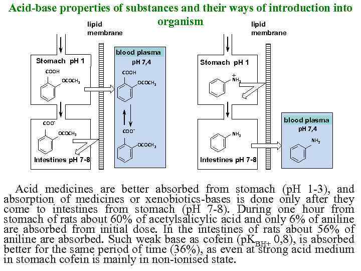 Acid-base properties of substances and their ways of introduction into organism lipid липидная мембрана