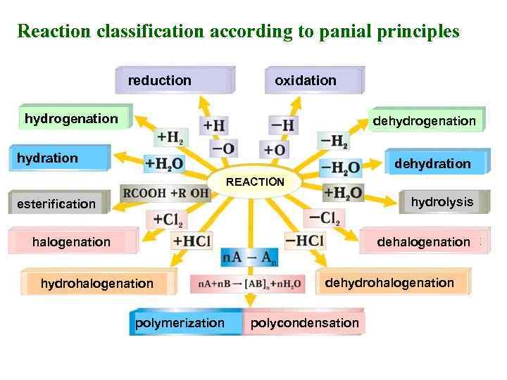 Reaction classification according to panial principles reduction oxidation hydrogenation dehydrogenation hydration dehydration REACTION hydrolysis