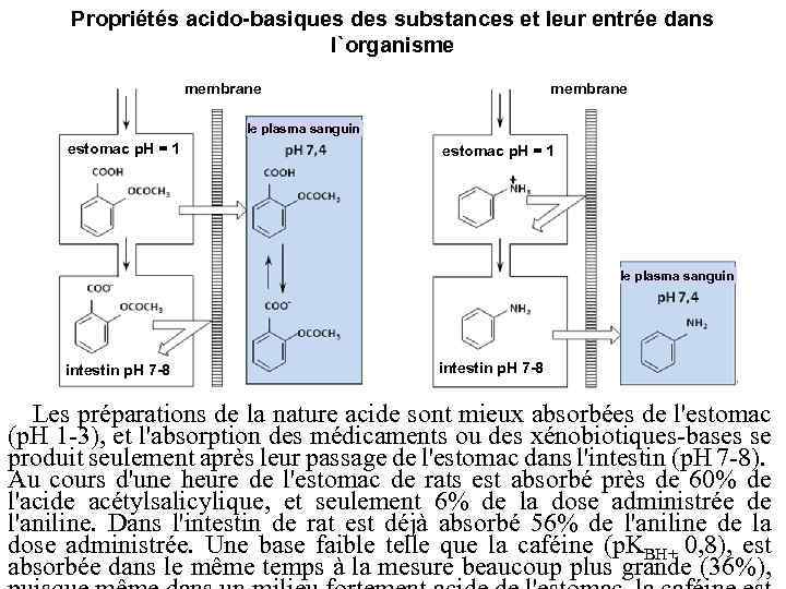Propriétés acido-basiques des substances et leur entrée dans l`organisme membrane le plasma sanguin estomac