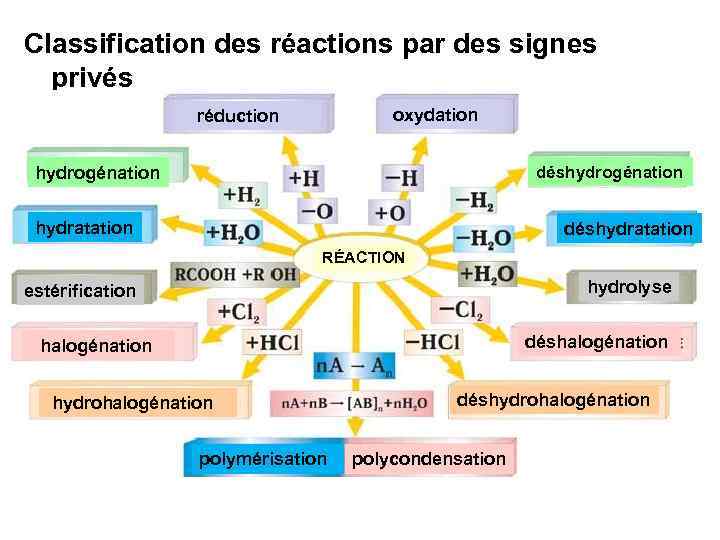Classification des réactions par des signes privés oxydation réduction déshydrogénation hydratation déshydratation RÉACTION hydrolyse
