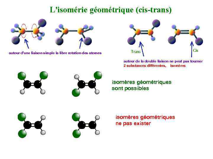 L'isomérie géométrique (cis-trans) autour d'une liaison simple la libre rotation des atomes autour de