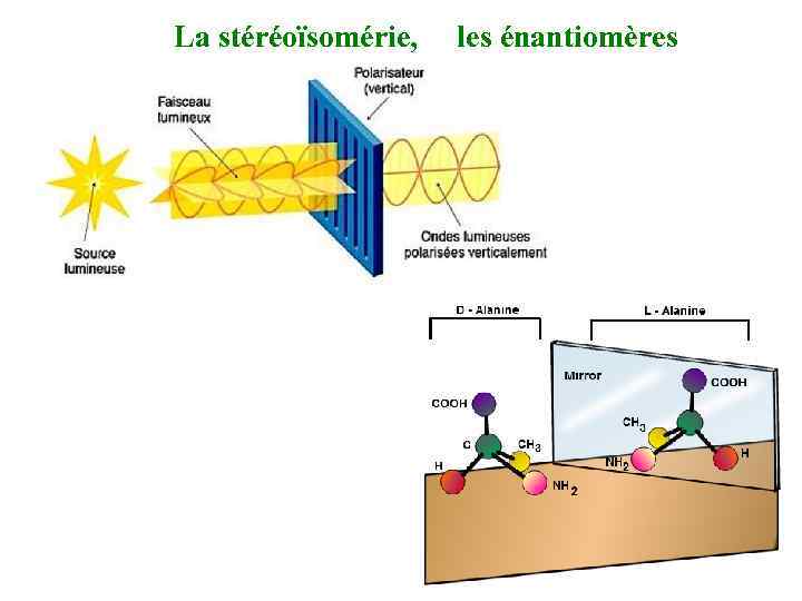 Lа stéréoïsomérie, les énantiomères 