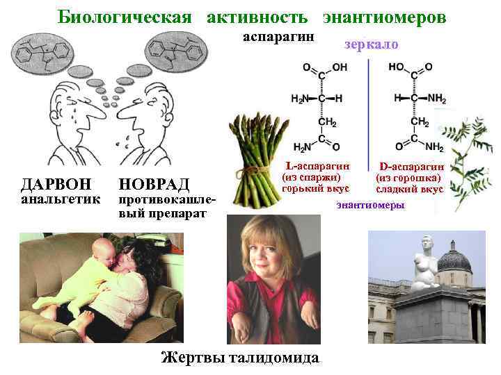 Биологическая активность энантиомеров аспарагин ДАРВОН анальгетик НОВРАД противокашлевый препарат зеркало L-аспарагин (из спаржи) горький