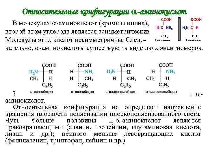 Относительные конфигурации -аминокислот В молекулах -аминокислот (кроме глицина), СООН Н–С– NH 2 СООН H