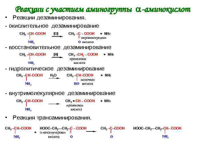 Реакции с участием аминогруппы -аминокислот • Реакции дезаминирования. - окислительное дезаминирование СН 3 –СН–СООН