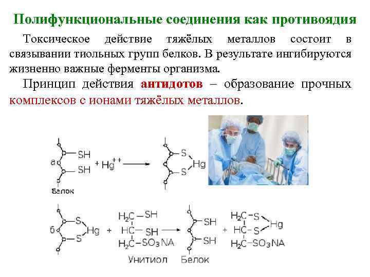 Полифункциональные соединения как противоядия Токсическое действие тяжёлых металлов состоит в связывании тиольных групп белков.