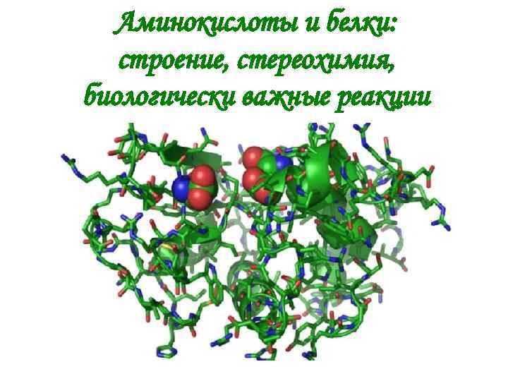 Аминокислоты и белки: строение, стереохимия, биологически важные реакции 