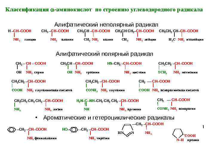 Классификация -аминокислот по строению углеводородного радикала Алифатический неполярный радикал Н –СН–СООН NH 2 СН