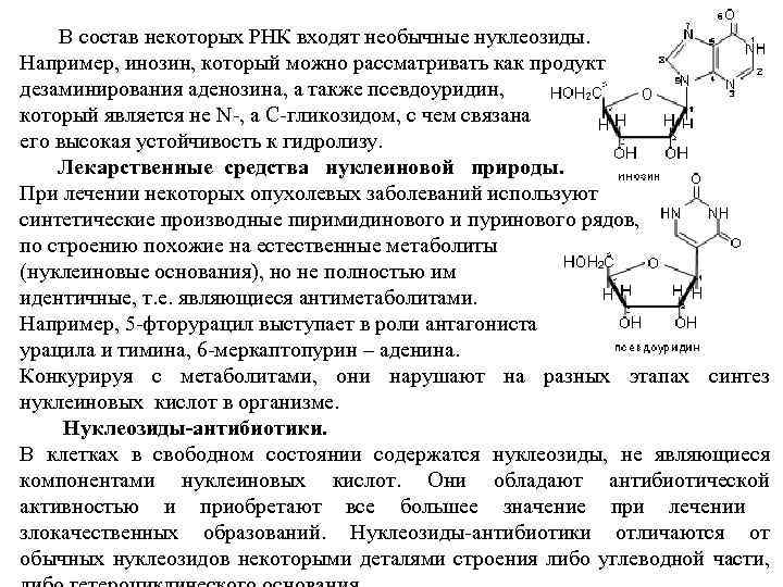  В состав некоторых РНК входят необычные нуклеозиды. Например, инозин, который можно рассматривать как