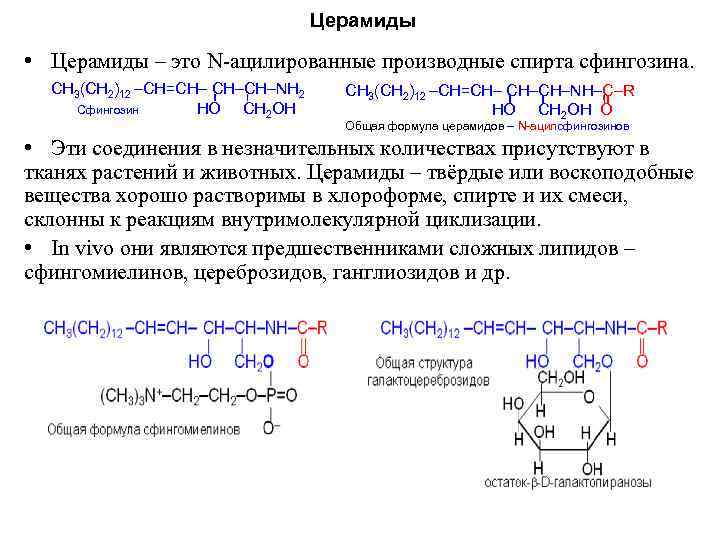 Церамиды • Церамиды – это N ацилированные производные спирта сфингозина. СН 3(СН 2)12 –СН=СН–