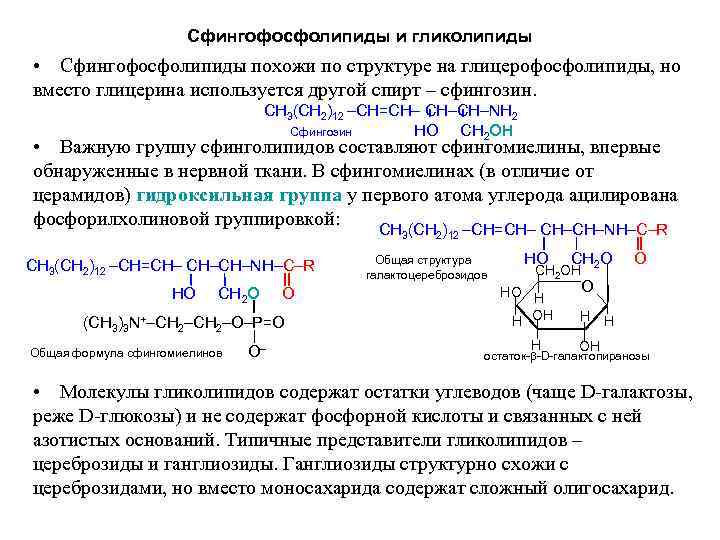 Сфингофосфолипиды и гликолипиды • Сфингофосфолипиды похожи по структуре на глицерофосфолипиды, но вместо глицерина используется