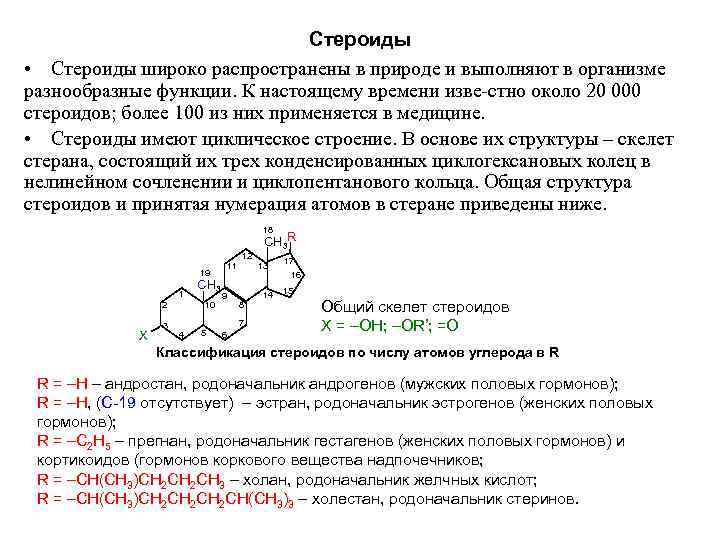 Стероиды • Стероиды широко распространены в природе и выполняют в организме разнообразные функции. К