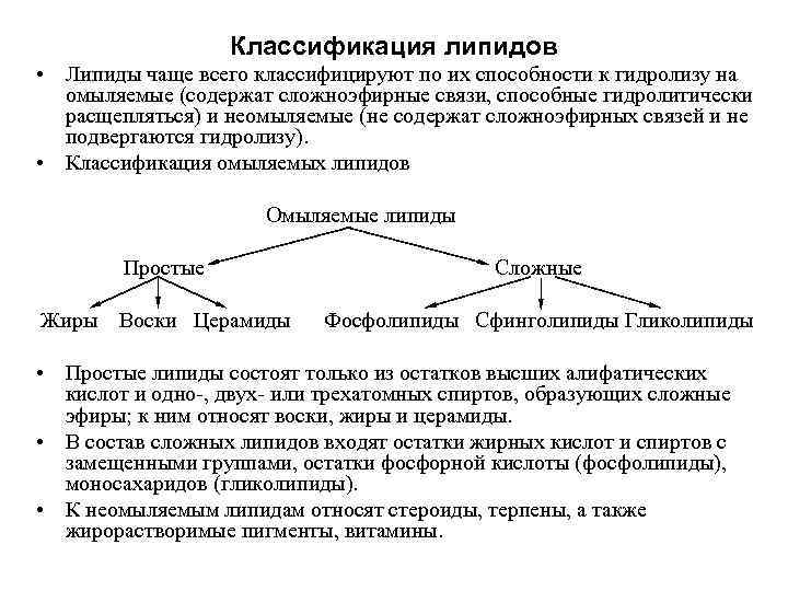 Классификация липидов • Липиды чаще всего классифицируют по их способности к гидролизу на омыляемые